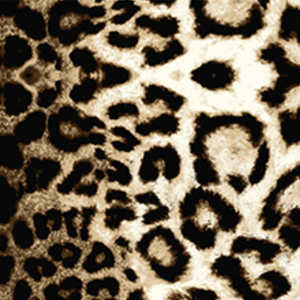 Brown Black Leopard Print